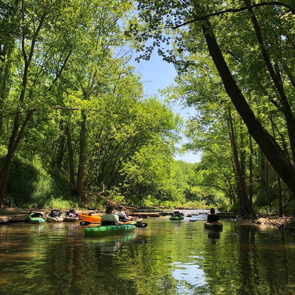 Paddling up a side creek on the Duck River