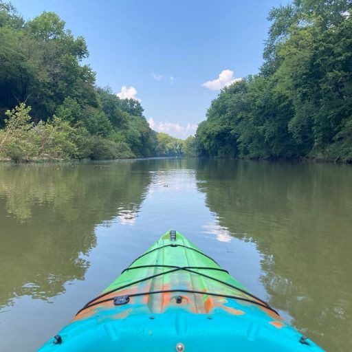 Kayaking on the Duck River